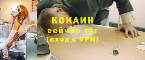 трава Гусь-Хрустальный