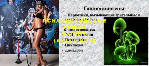 a pvp Гусев