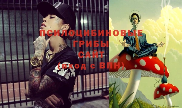 синтетический гашиш Гусиноозёрск