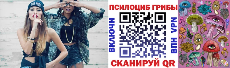 Купить закладки  Курчатов  Галлюциногенные грибы ЛСД 
